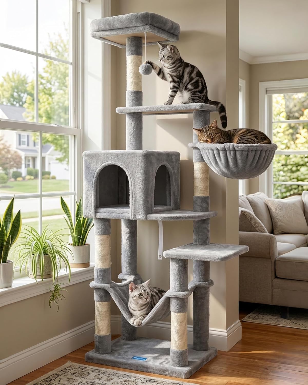 Living with Pets! cover photo collage