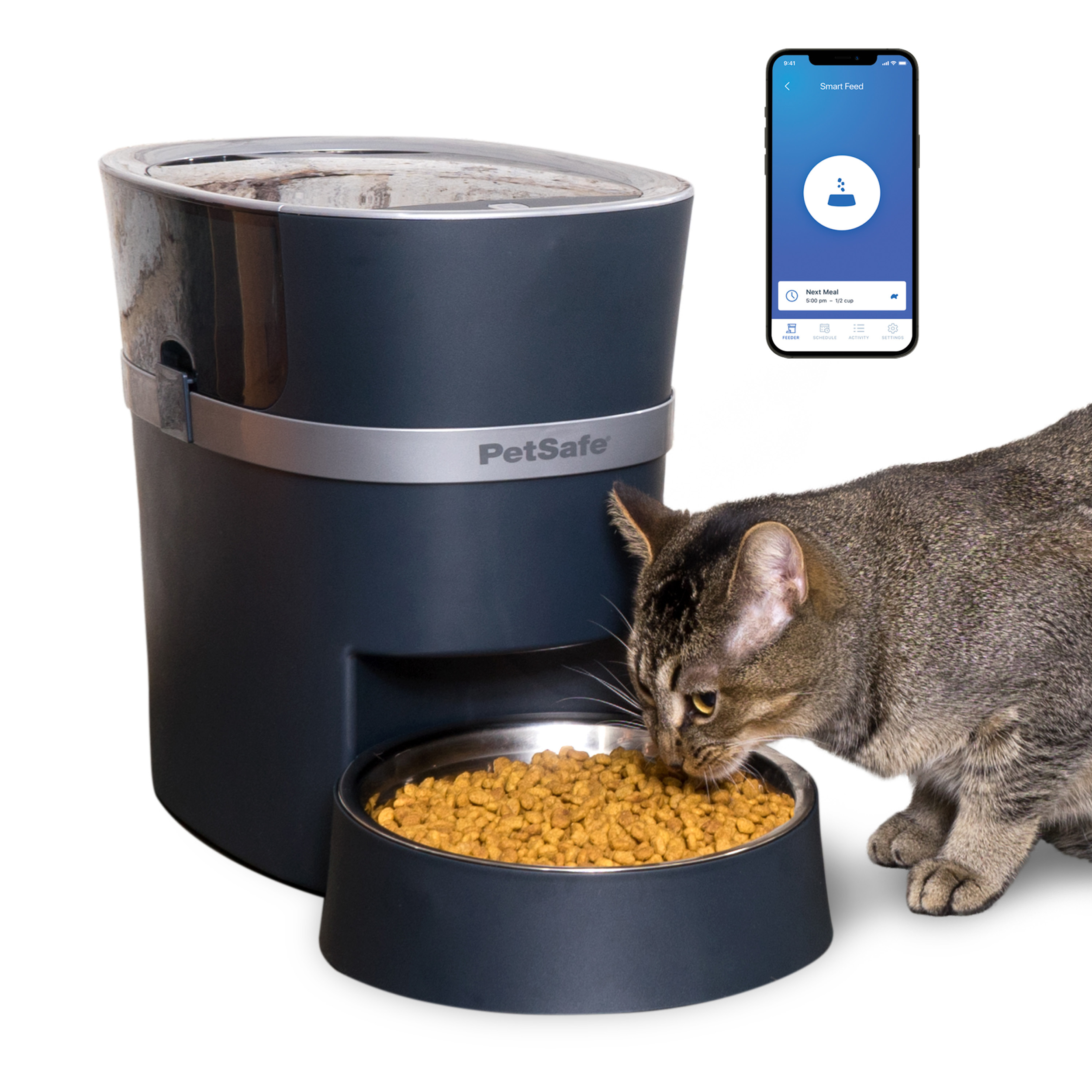 Ultimate Summer Cat Care Checklist: Cooling, Hydration, Hygiene, Entertainment & Travel cover photo collage