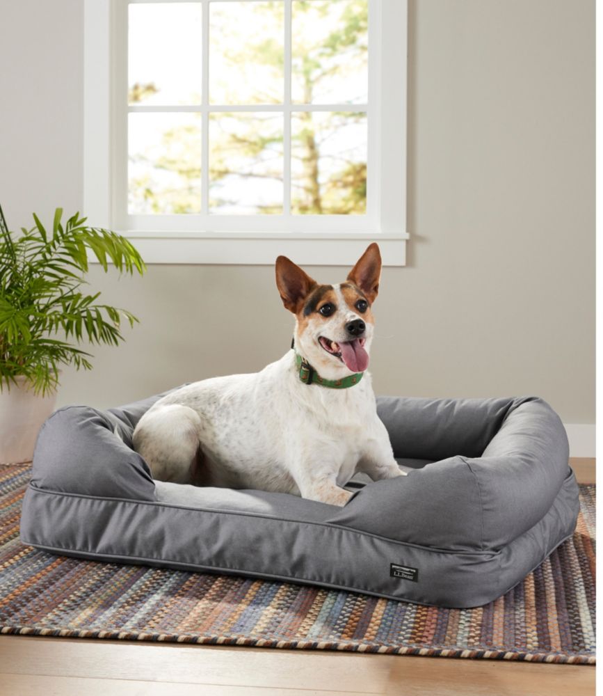 Otto's Guide To A Dog's Best Life cover photo collage