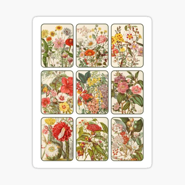 Antique Collage Stickers cover photo collage