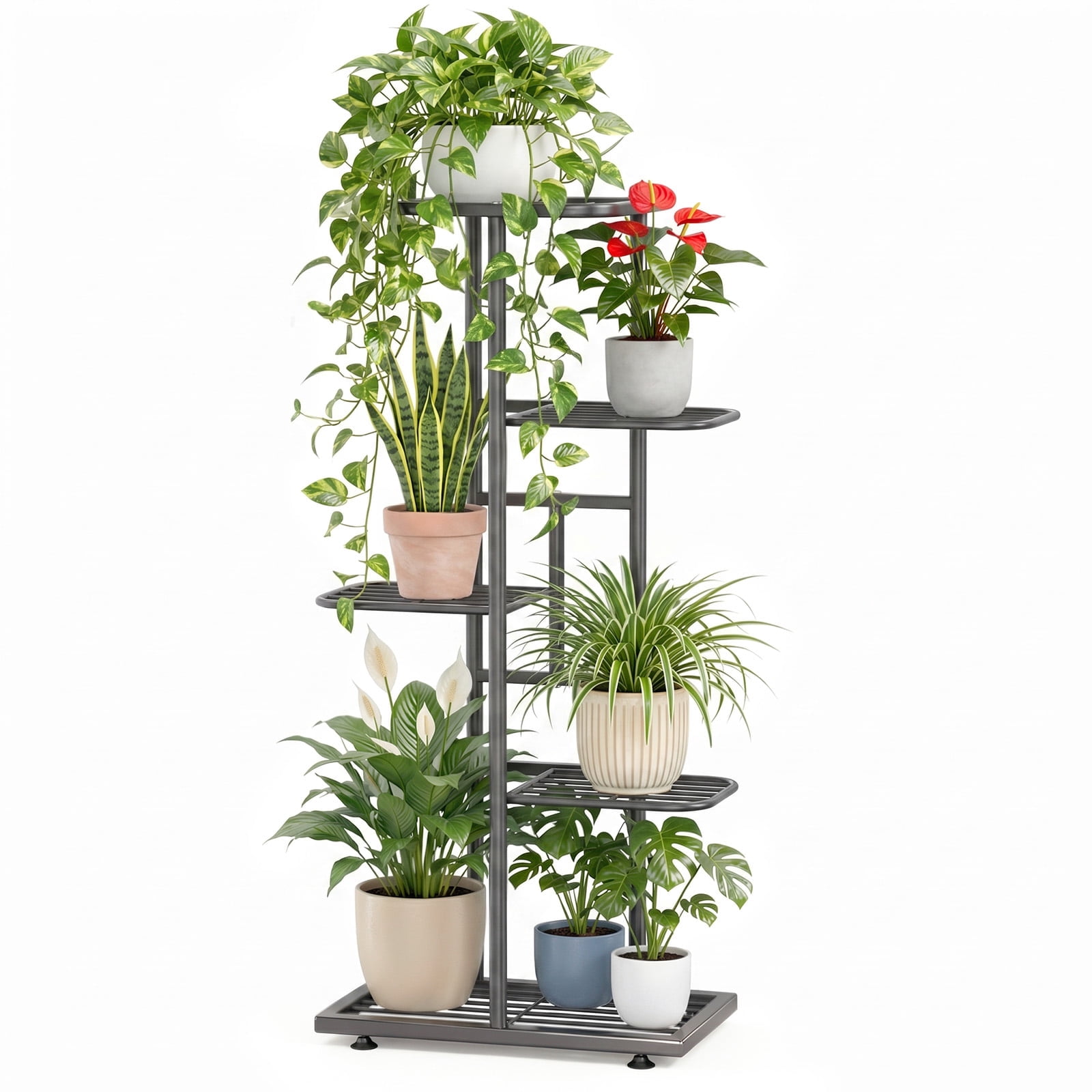 Let's Talk Plants 🪴 cover photo collage