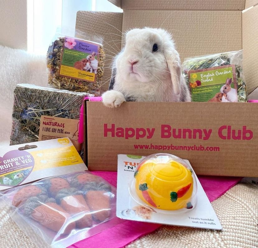 Bunny Bits cover photo collage