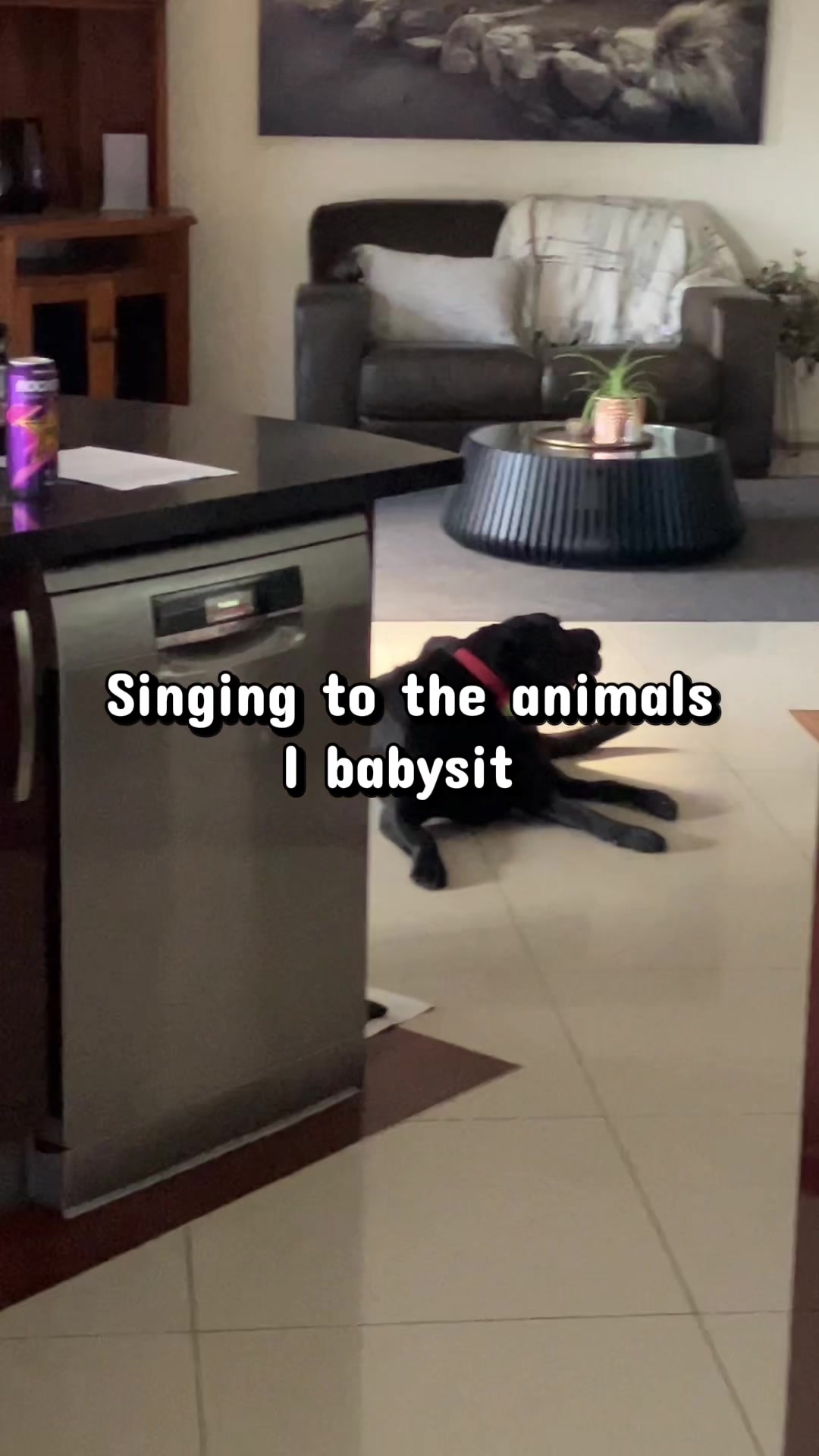 Funny Singing Videos cover photo collage