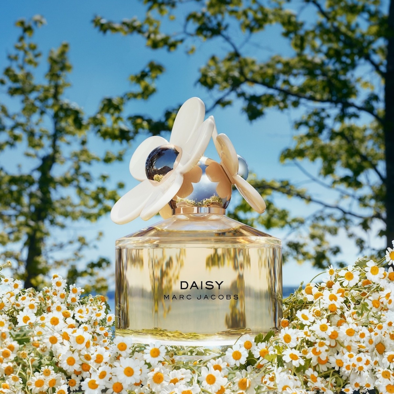 My Favorite Affordable Perfumes and Body Mists cover photo collage