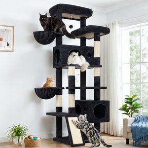 The Ultimate Kitty Kingdom: Everything Your Cat Actually Wants cover photo collage