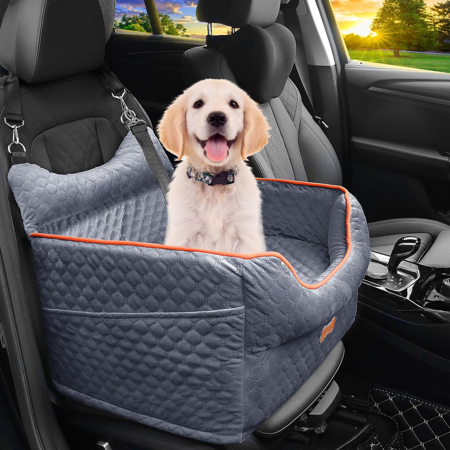 Dog Products & Unique Gifts Every Pet Parent Needs! cover photo collage