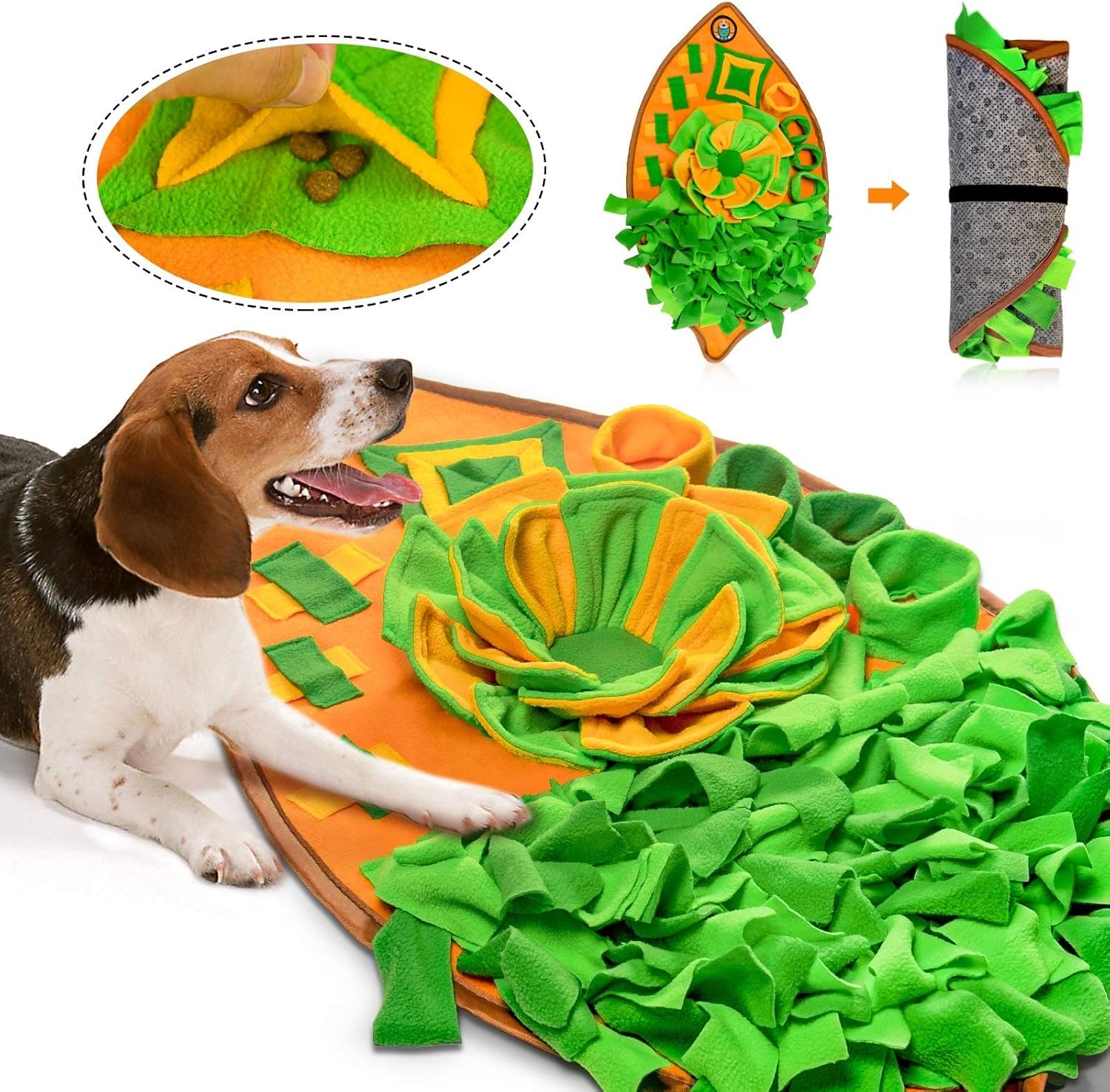 Viral Dog Products from TikTok That Are Worth the Hype cover photo collage