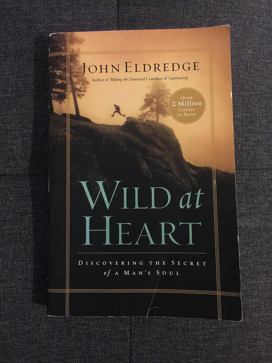 Faith-centered companions to Wild at Heart Expanded Edition: Discovering the Secret of a Man's Soul - The Perfect Father's Day Gift for Christian Dads cover photo collage