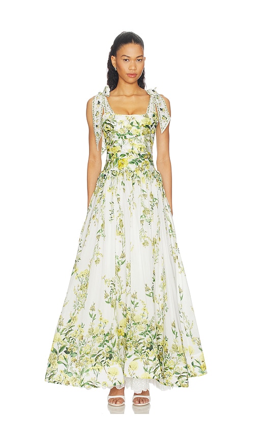 Alice + Olivia Haven Flared Maxi Dress