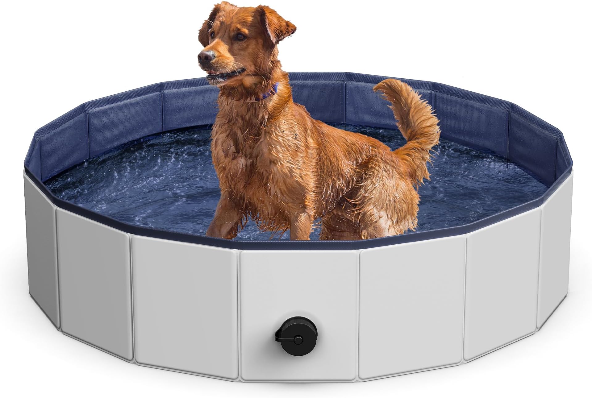 Pet Essentials for the Florida Heat: Must-Haves for Dogs & Cats cover photo collage
