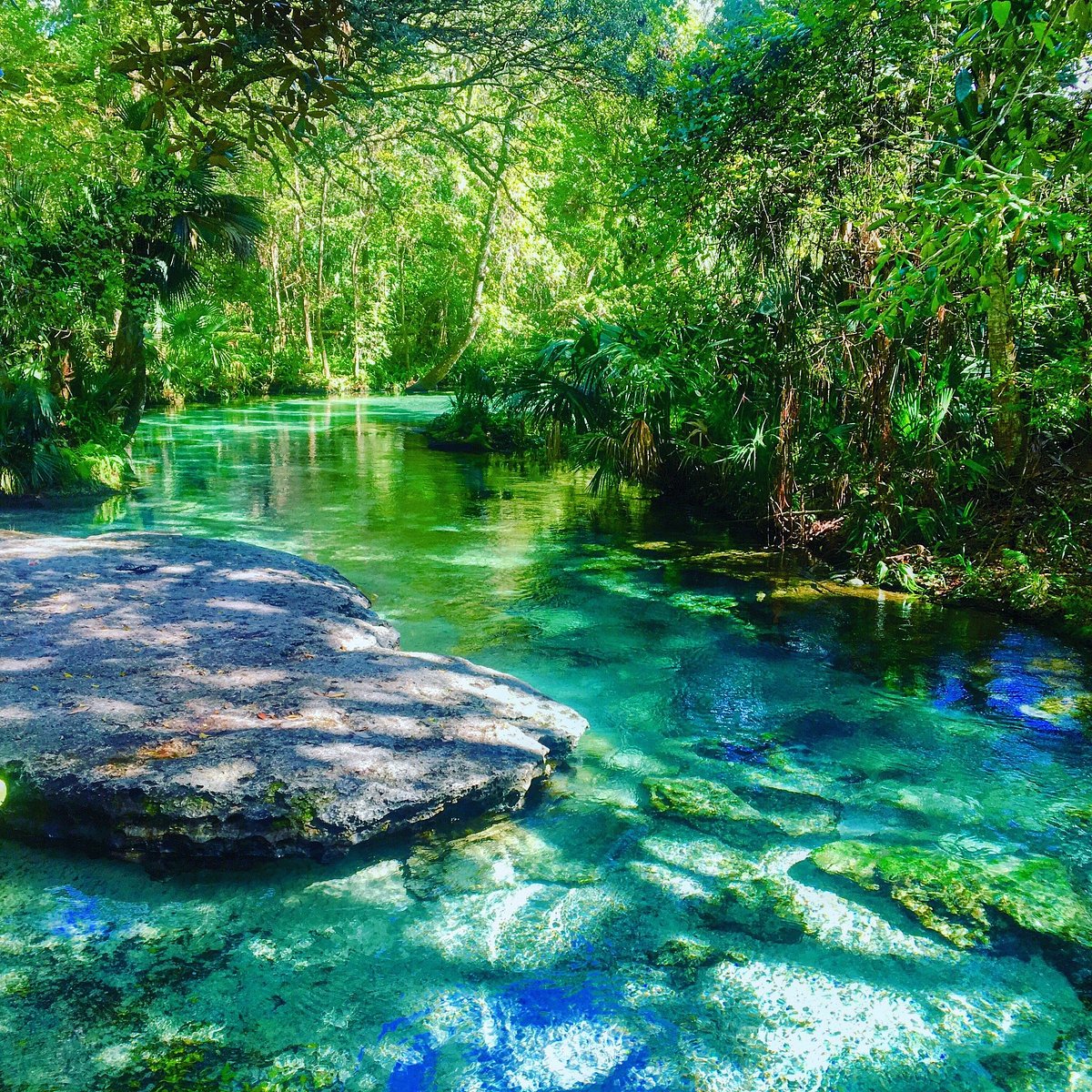 Best Things to Do in Orlando (A Local's Guide) in 2026 cover photo collage