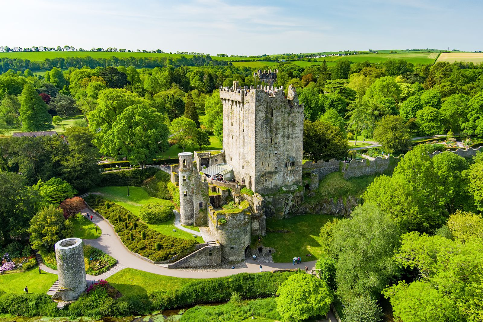 St. Patrick's Day in Ireland Essentials cover photo collage