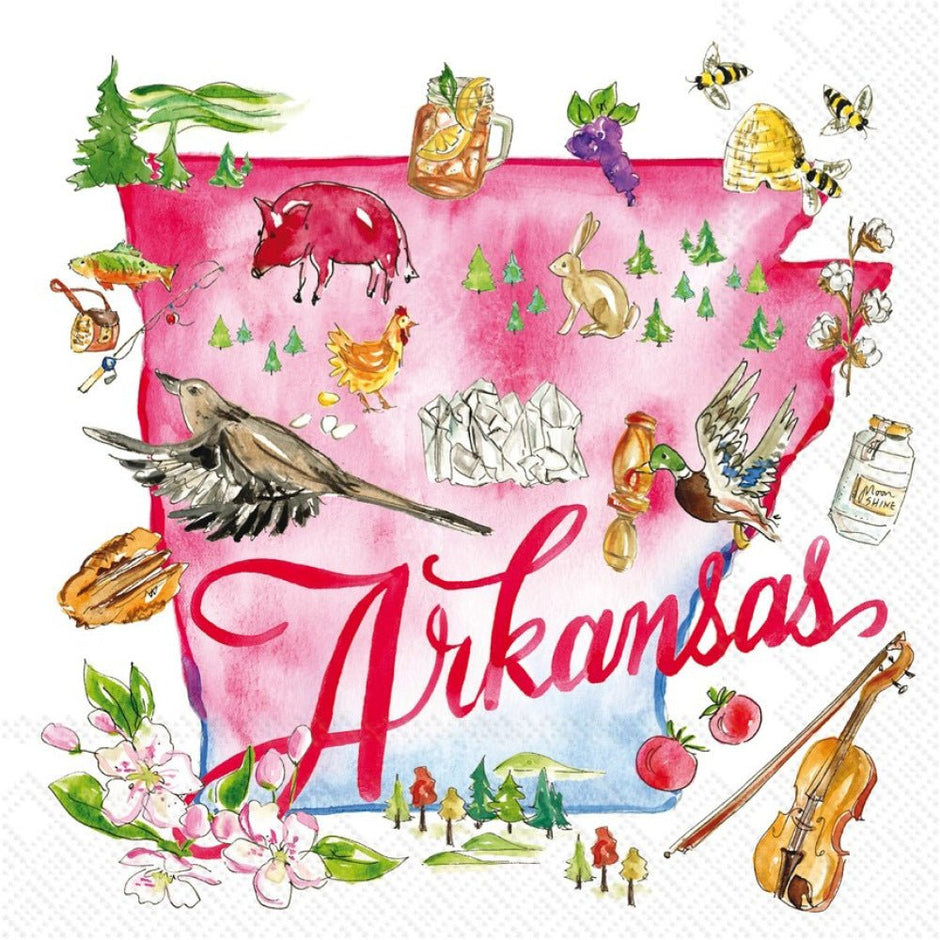 Arkansas - Surprisingly Interesting cover photo collage
