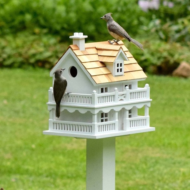 Your Bird House Realtor🐦 cover photo collage