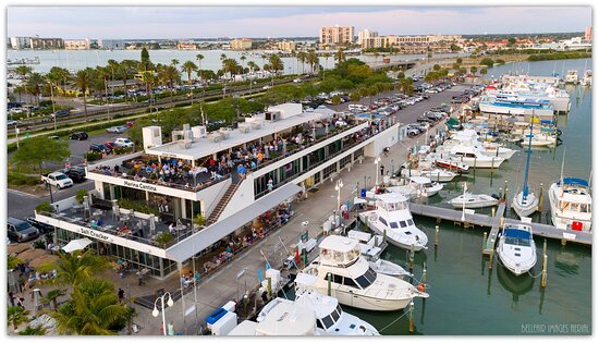All things Tampa Bay 🏴‍☠️🌴 cover photo collage