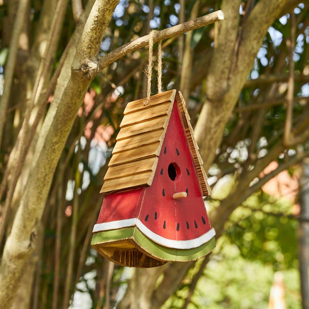 Your Bird House Realtor🐦 cover photo collage
