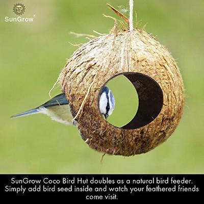Your Bird House Realtor🐦 cover photo collage