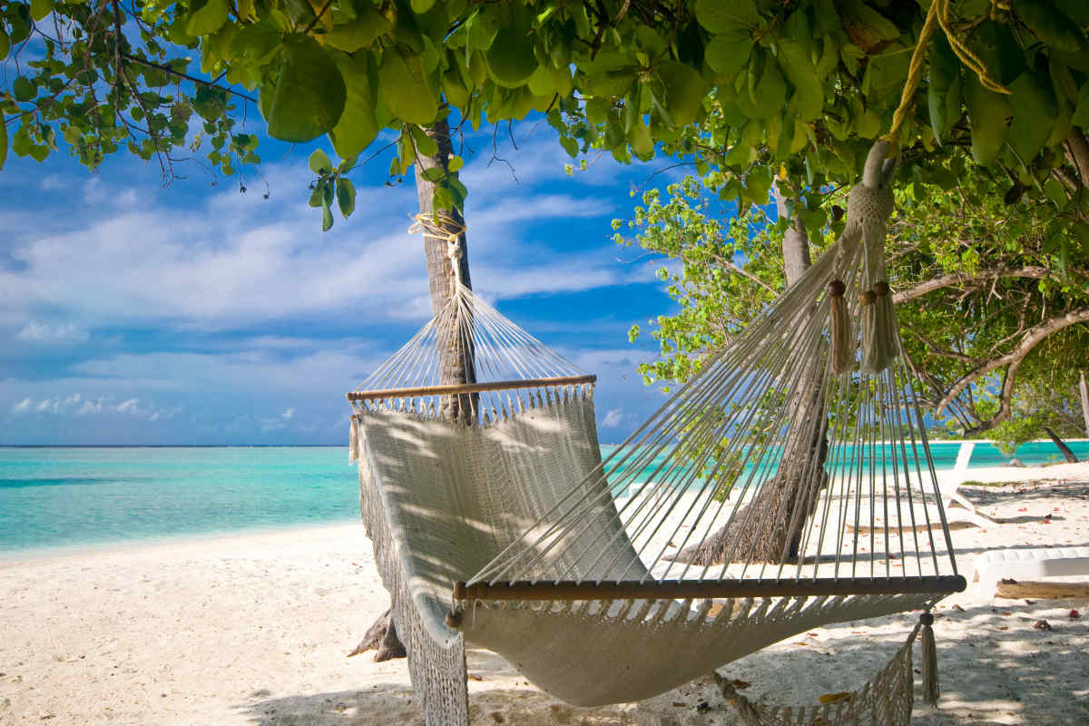 Traveling Essentials from Land to Sea cover photo collage