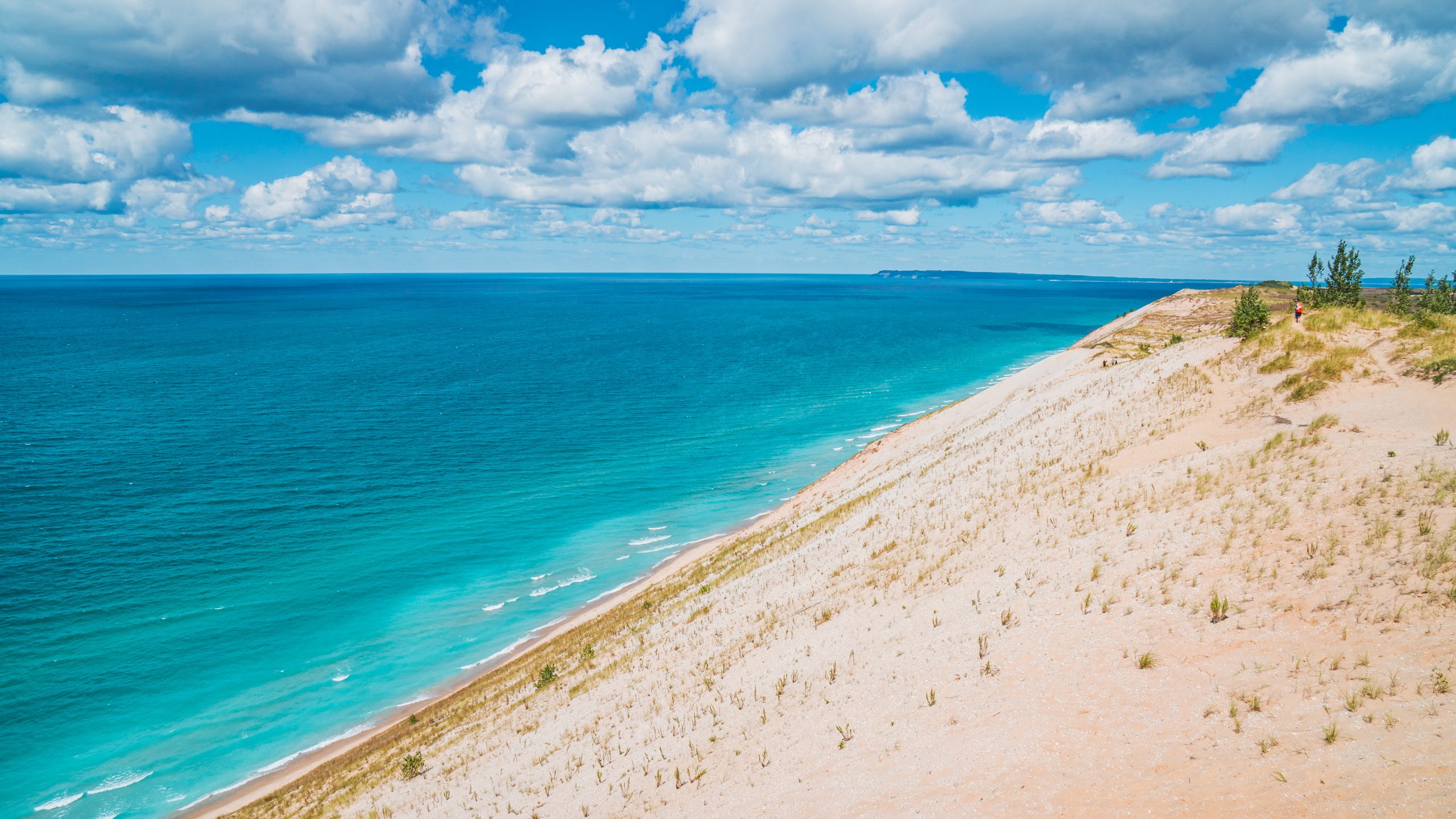 Northern MI ☀️ cover photo collage
