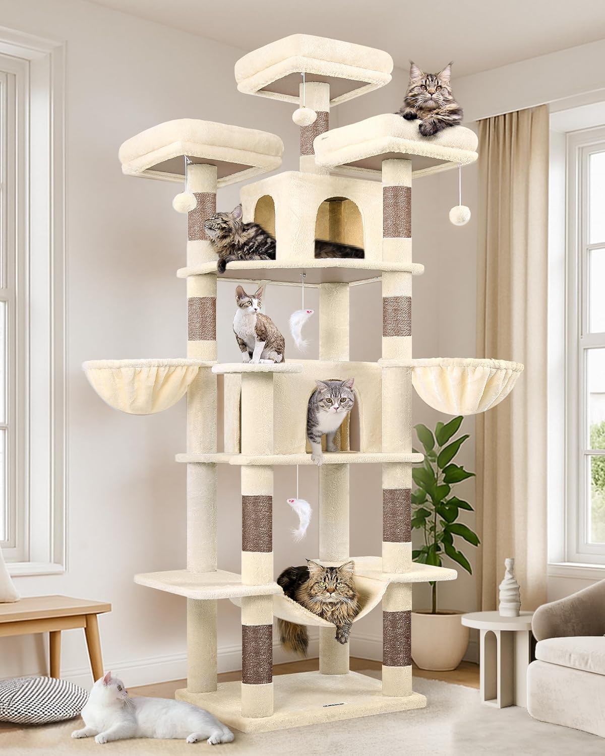 My cats’ favorite products cover photo collage