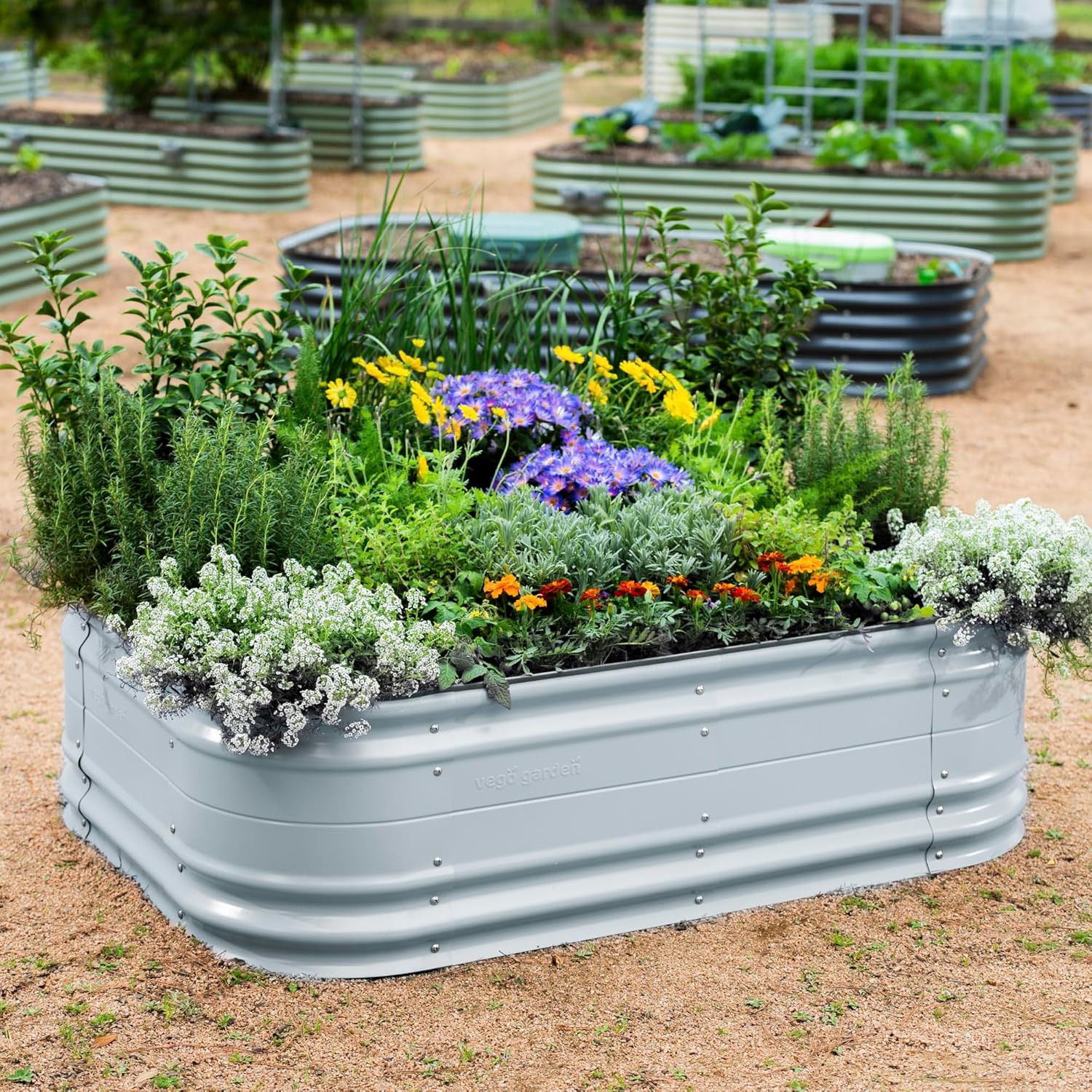 Everything I use to keep my plants and my backyard alive cover photo collage