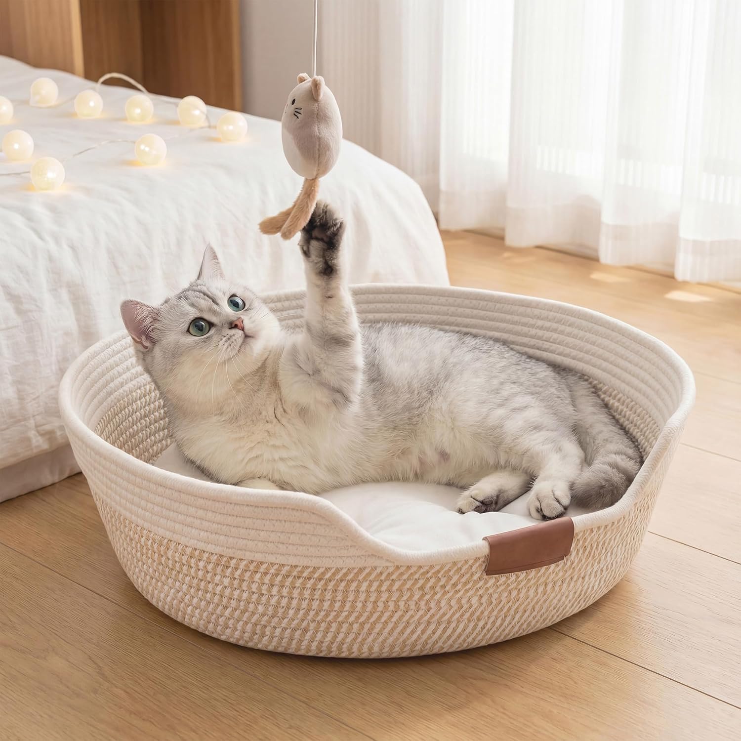 My cats’ favorite products cover photo collage