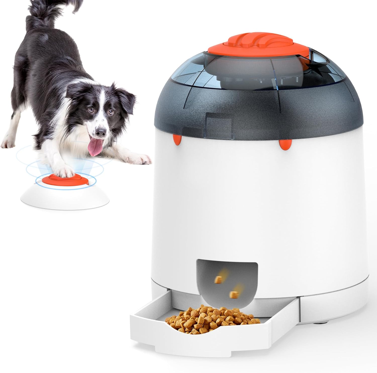 Everyday Dog Essentials cover photo collage