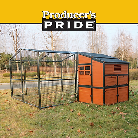 Chicken Coop ideas cover photo collage