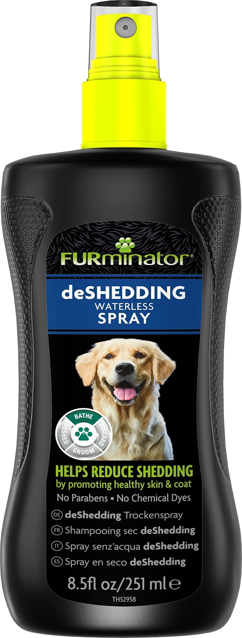 Dog & Cat Grooming Essentials: Top Amazon Picks for Florida Pet Parents cover photo collage