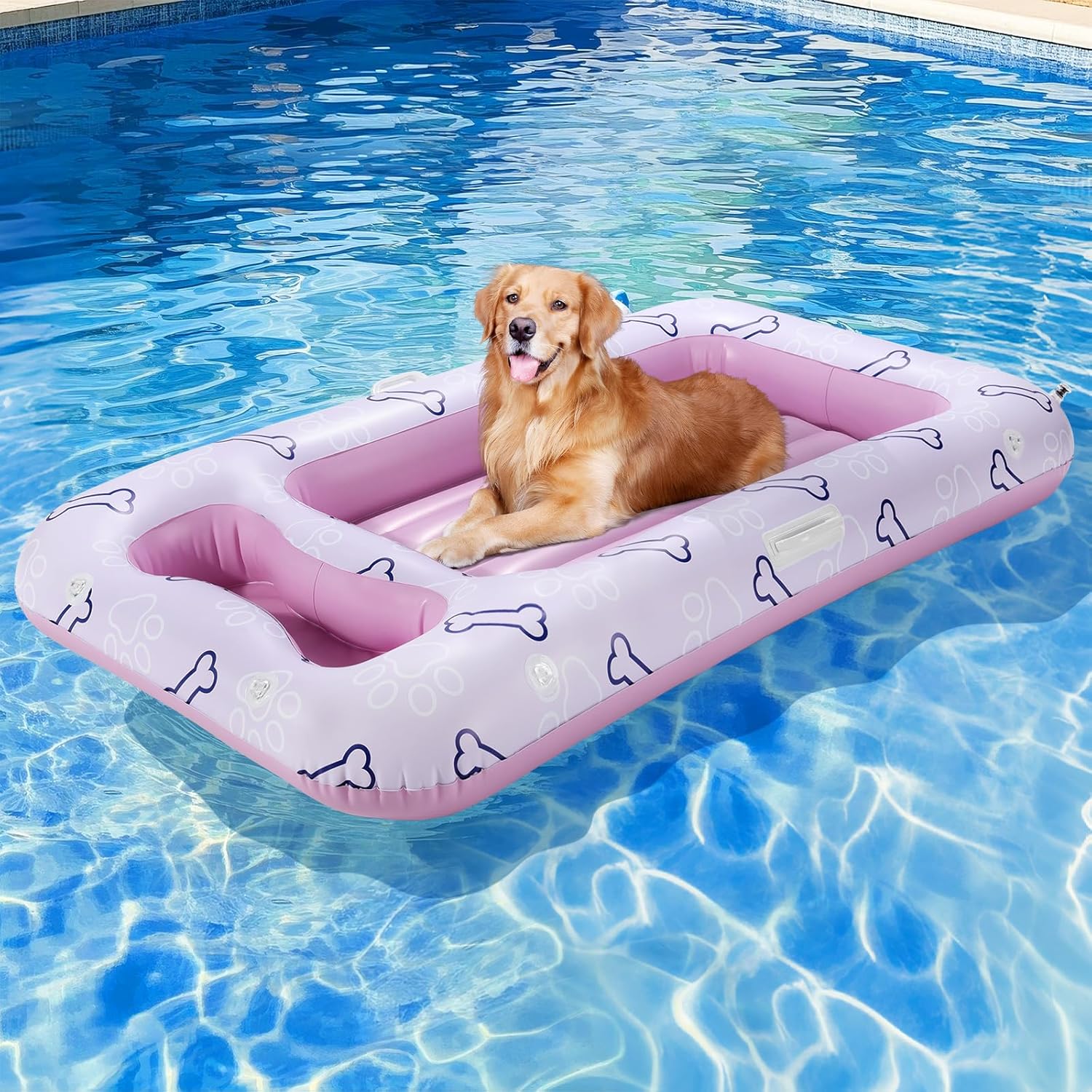 Fur baby essentials cover photo collage