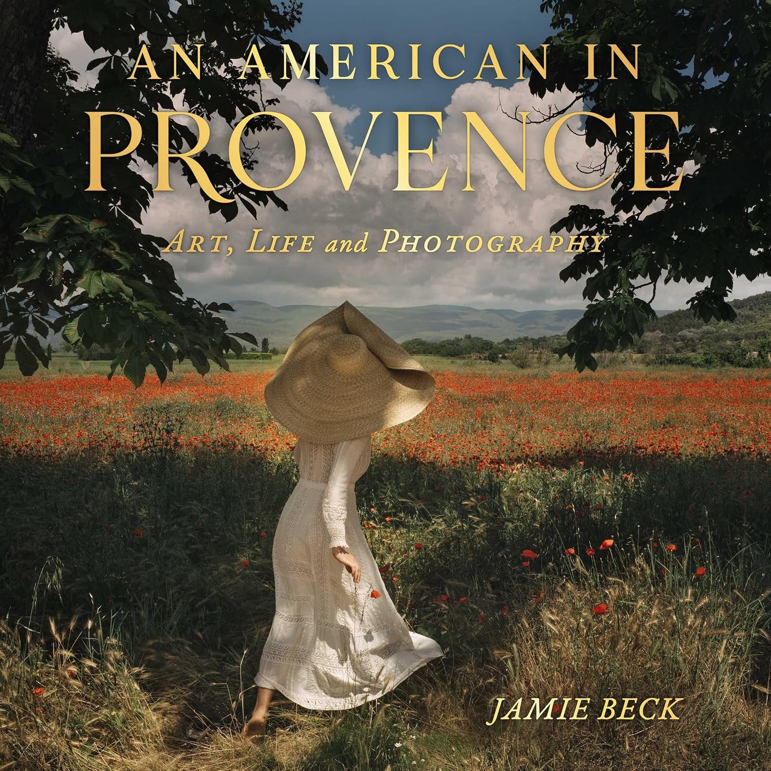 Read Online - An American in Provence: Art, Life and Photography inspiration library cover photo collage