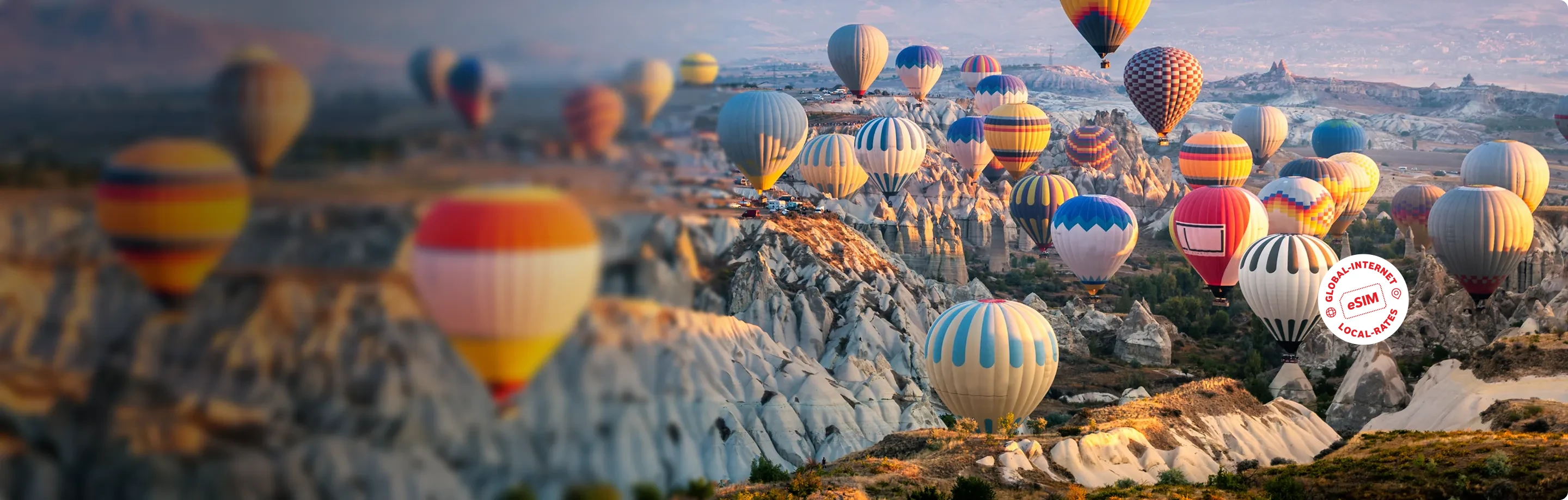 Small Group Tours I Have Taken (Or Am Planning To) cover photo collage