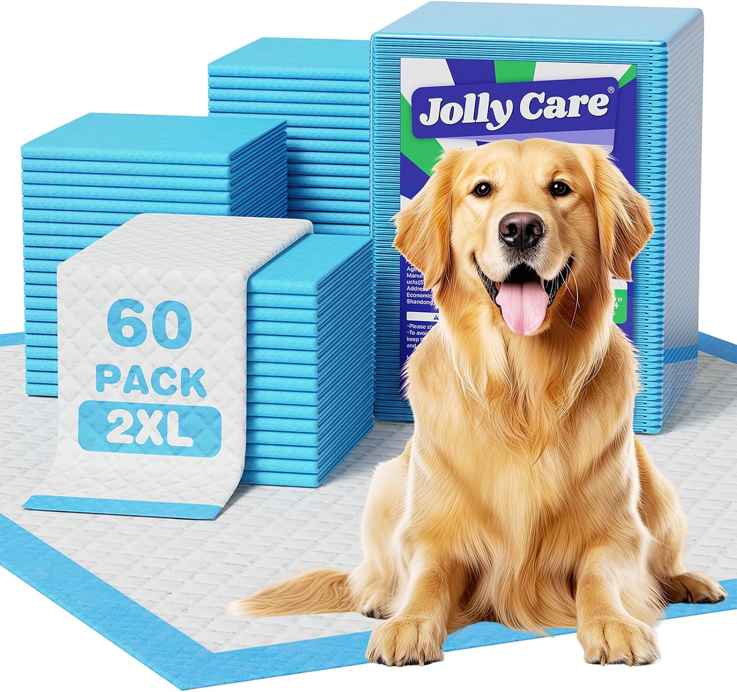New Puppy Starter Kit Essentials: Top Amazon Picks for Florida Dog Parents cover photo collage