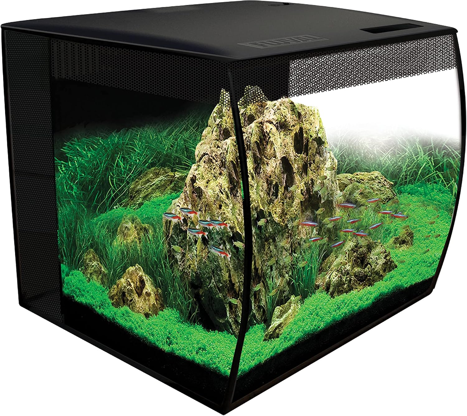 Aquarium & Fish Tank Starter Kit Essentials: Top Amazon Picks for Beginners cover photo collage