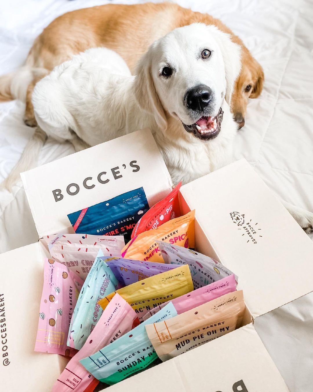 New puppy essentials cover photo collage