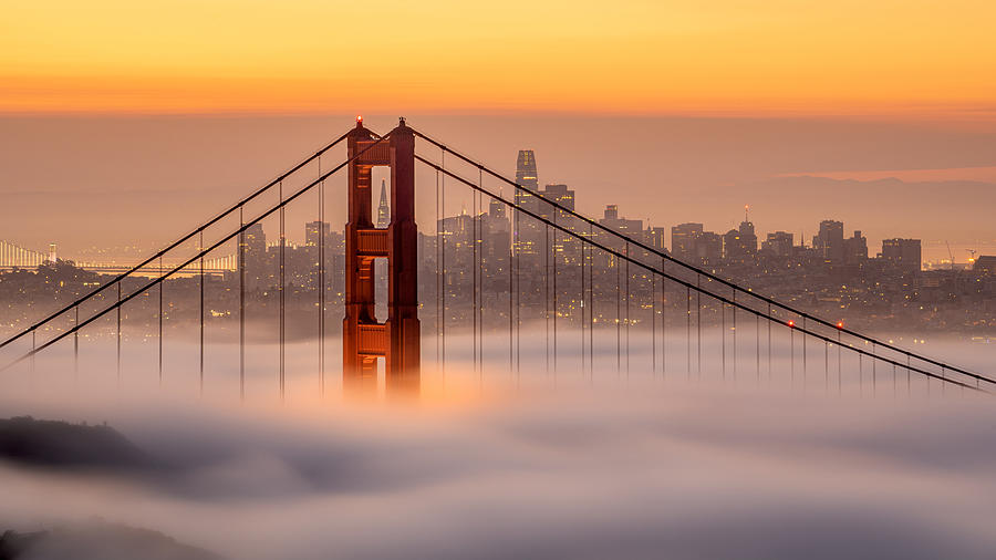 Read Online - Fog Lover's Guide to Karl the Fog: San Francisco's Most Mysterious Resident cover photo collage