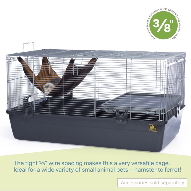Small Pet Starter Kit Essentials: Top Amazon Picks for Hamsters & Guinea Pigs cover photo collage