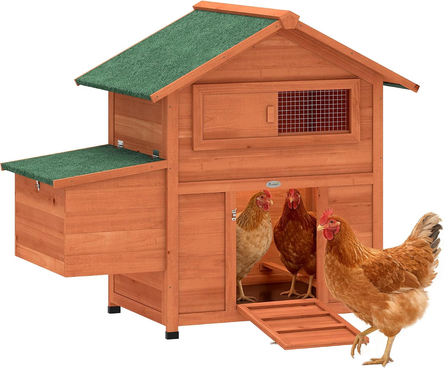 Backyard Chicken Coop & Homestead Essentials: Top Amazon Picks for Central Florida cover photo collage