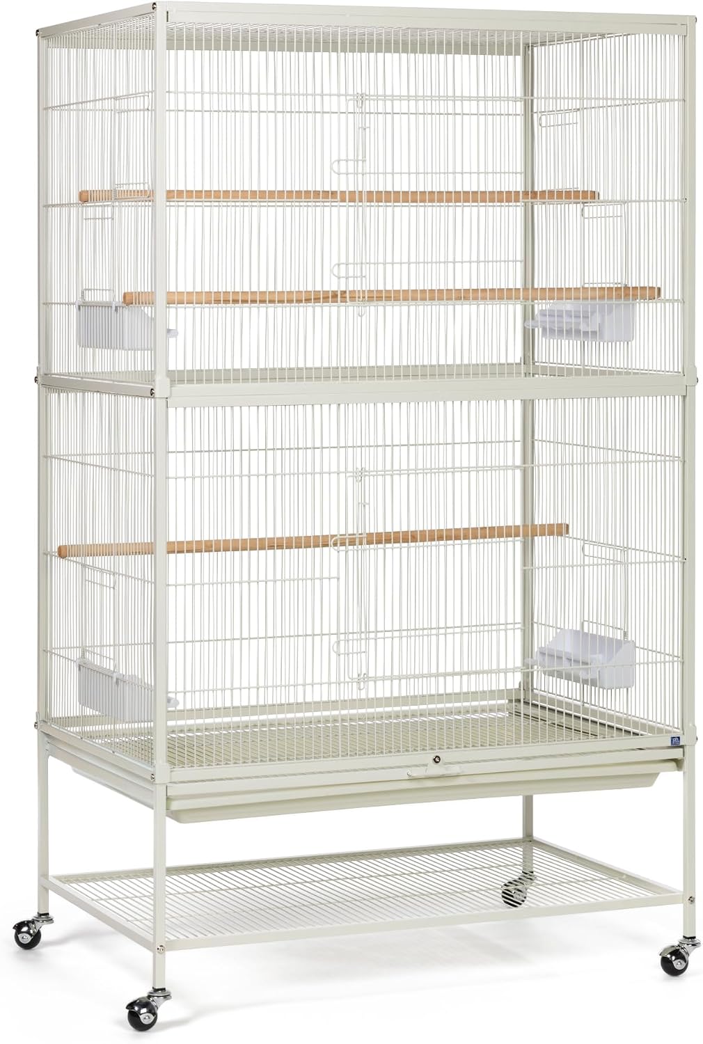 Bird & Parakeet Starter Kit Essentials: Top Amazon Picks for New Bird Owners cover photo collage