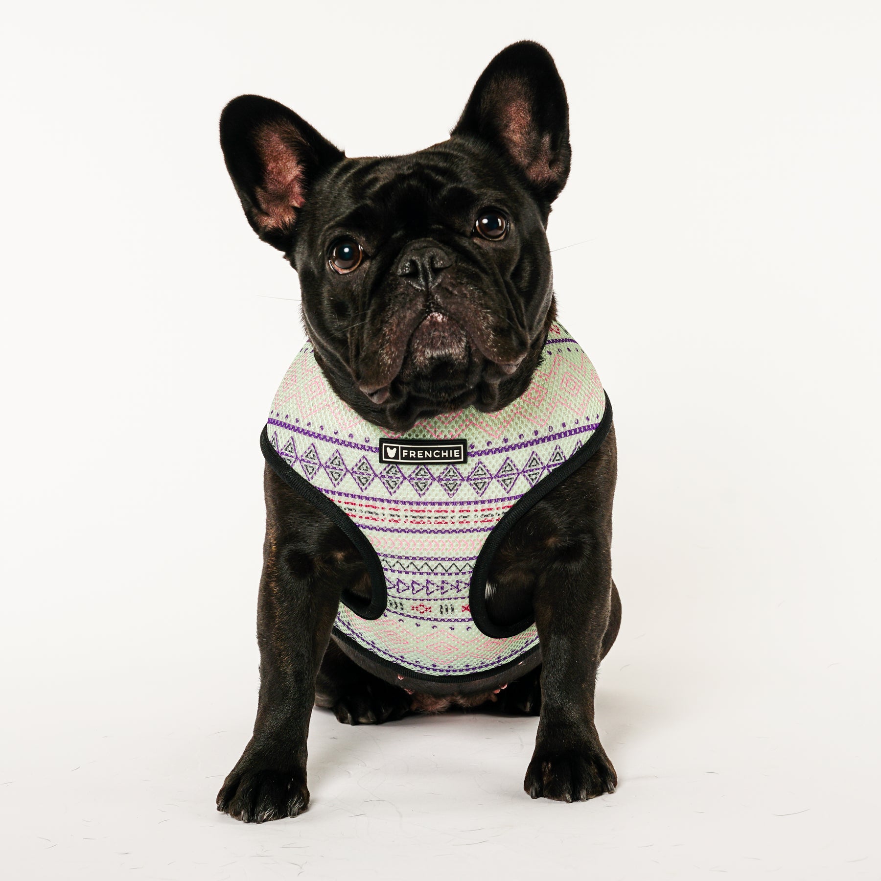 Frenchie Mom Essentials: Must-Have Products for French Bulldog Owners 🐾 ⭐ cover photo collage