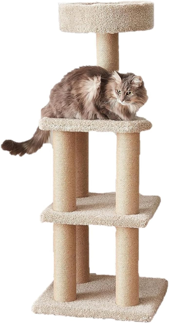 Cat Mom Essentials: My Best-Selling Amazon Must-Haves for a Happy, Spoiled, Well-Behaved Kitty cover photo collage