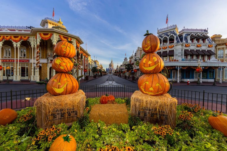 Disney Fall & Halloween Home Decor Favorites cover photo collage