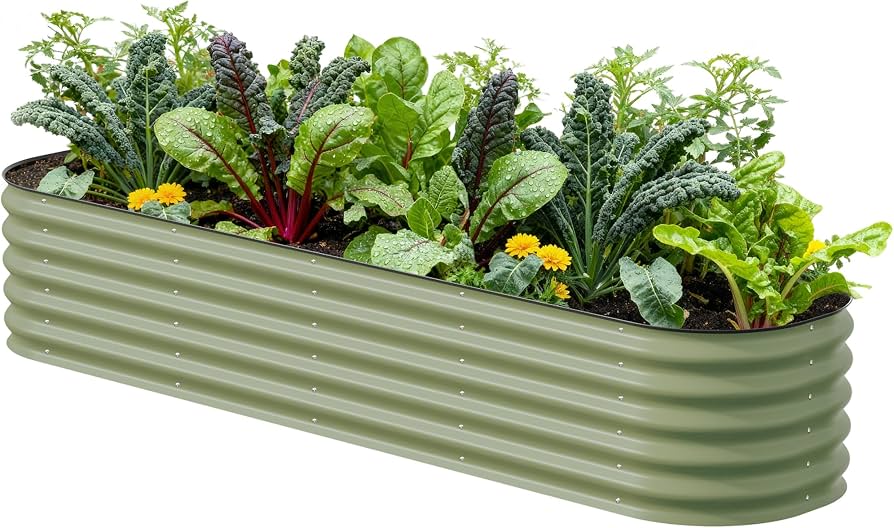 Raised Bed Vegetable Garden Essentials: Top Amazon Picks for Central Florida Growers cover photo collage