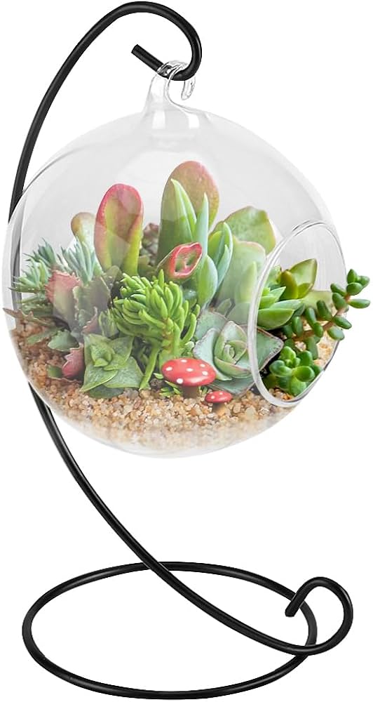 Terrarium & Succulent Garden Essentials: Top Amazon Picks for Central Florida cover photo collage