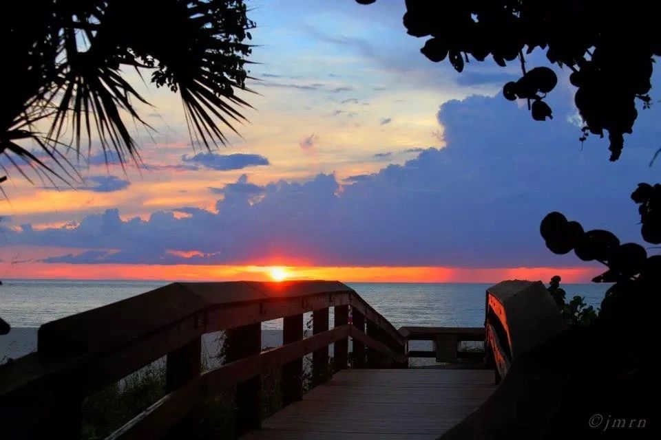 Things to Do in Marco Island Florida🌊 cover photo collage