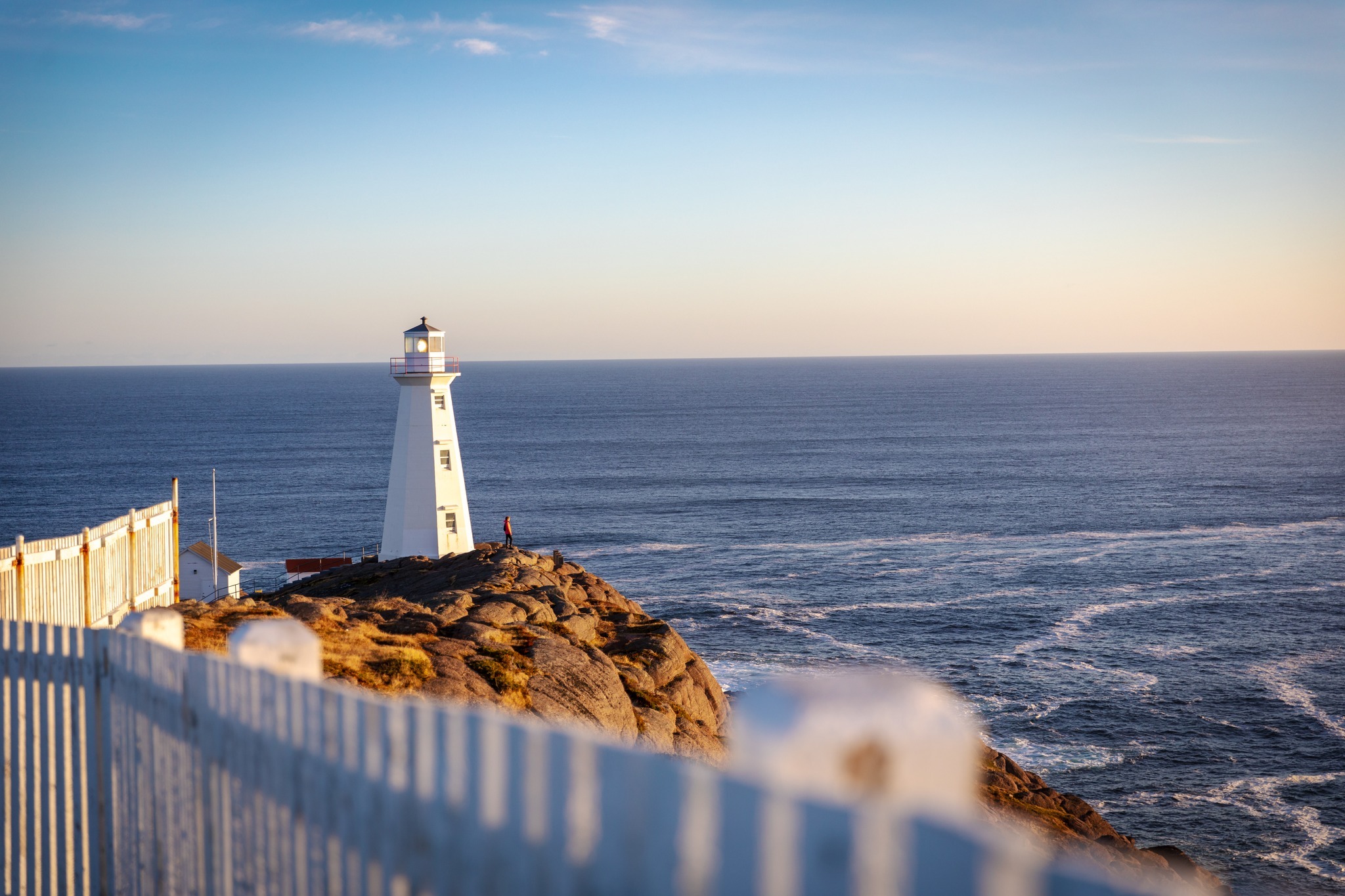 Get Screeched in or get out of town! The ultimate week vacation in NFLD! cover photo collage