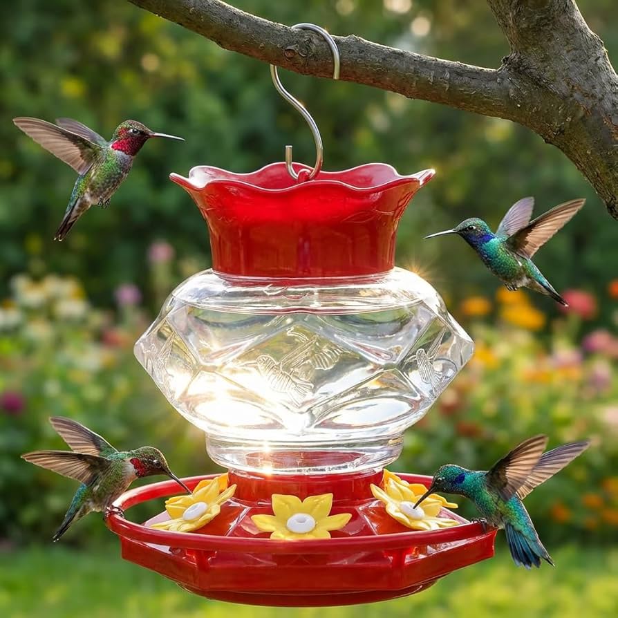 Hummingbird Feeders cover photo collage
