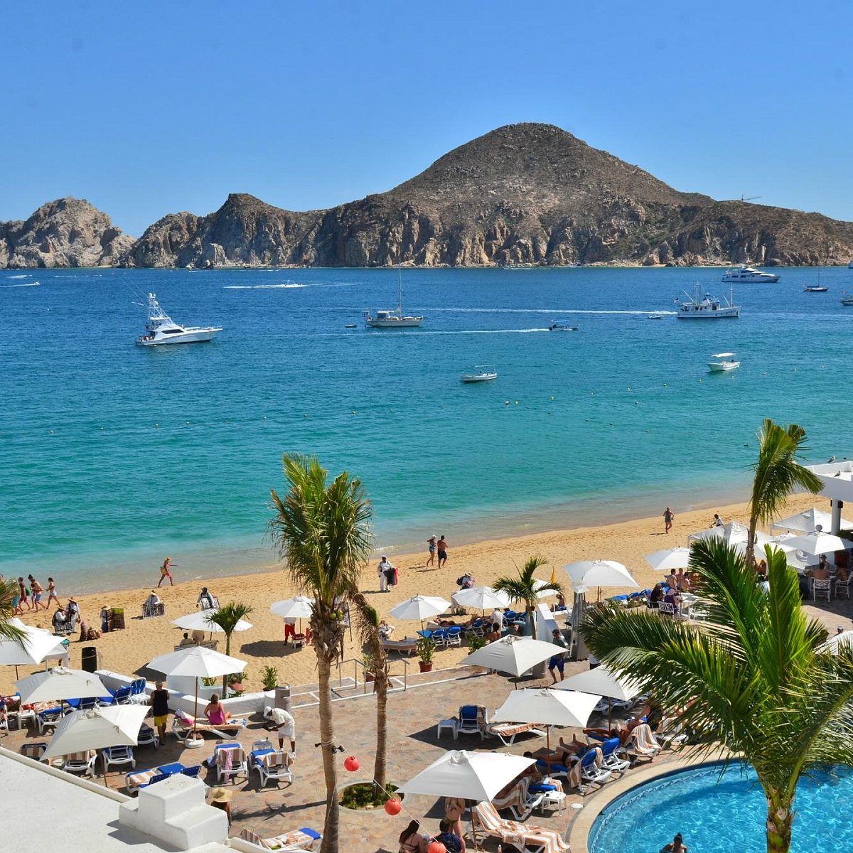 9 days of west coast fun. Cali w a 7 day, overnight Cabo and Ensenada cruise. cover photo collage