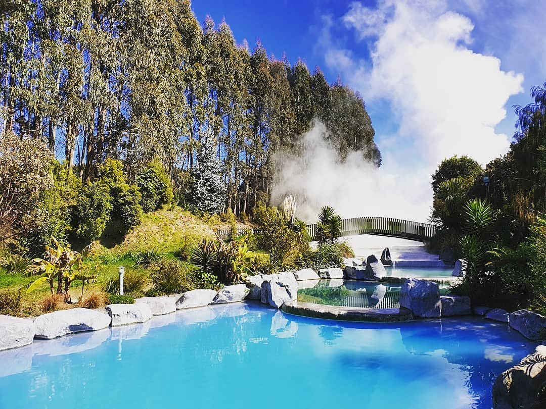 My Solo New Zealand Trip Starter Pack 🇳🇿 cover photo collage