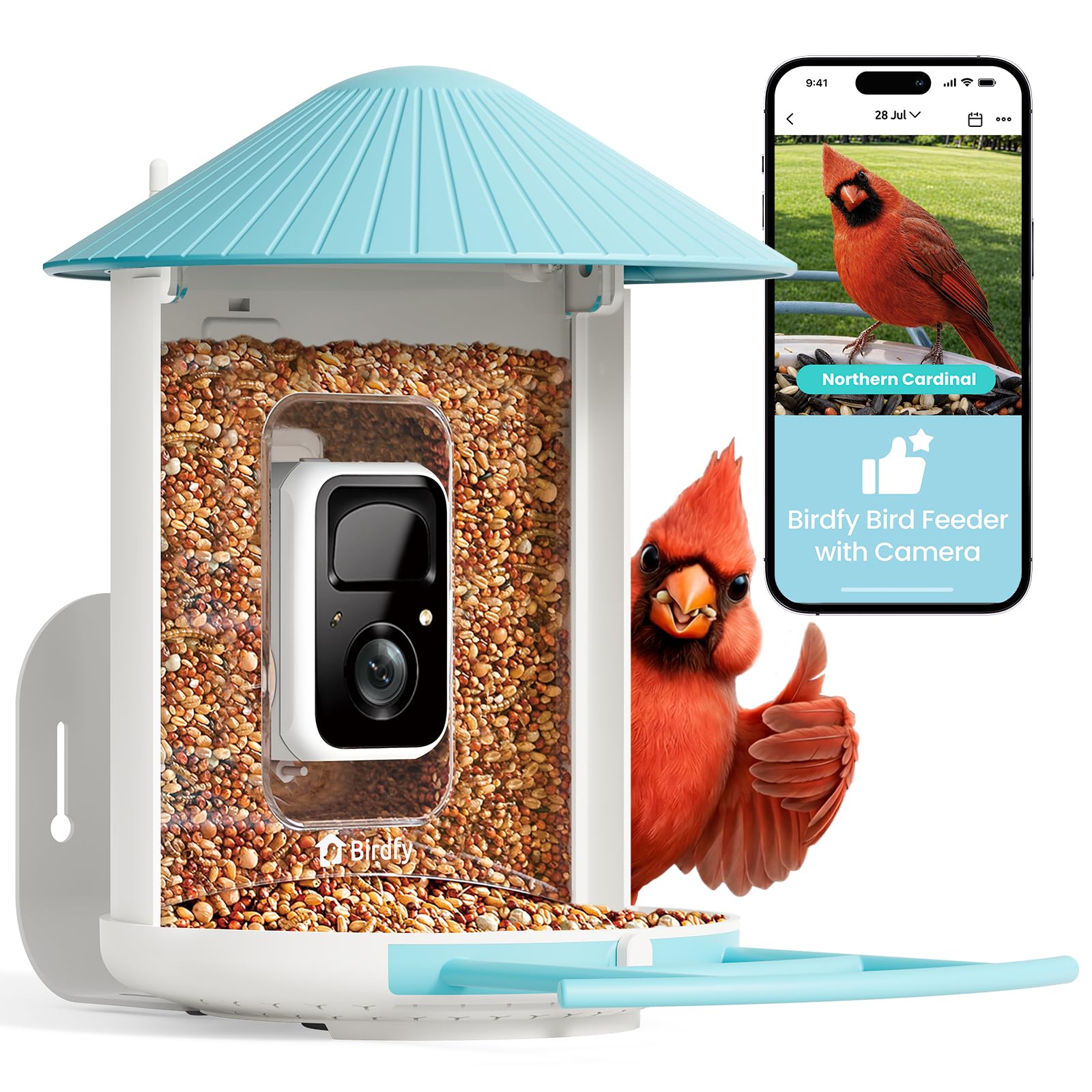Bird Watching & Backyard Birding Starter Kit Essentials: Top Amazon Picks for Central Florida Nature Lovers cover photo collage